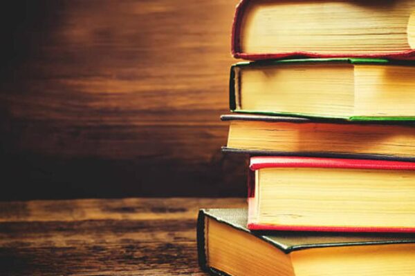 unsur intrinsik dalam review buku fiksi